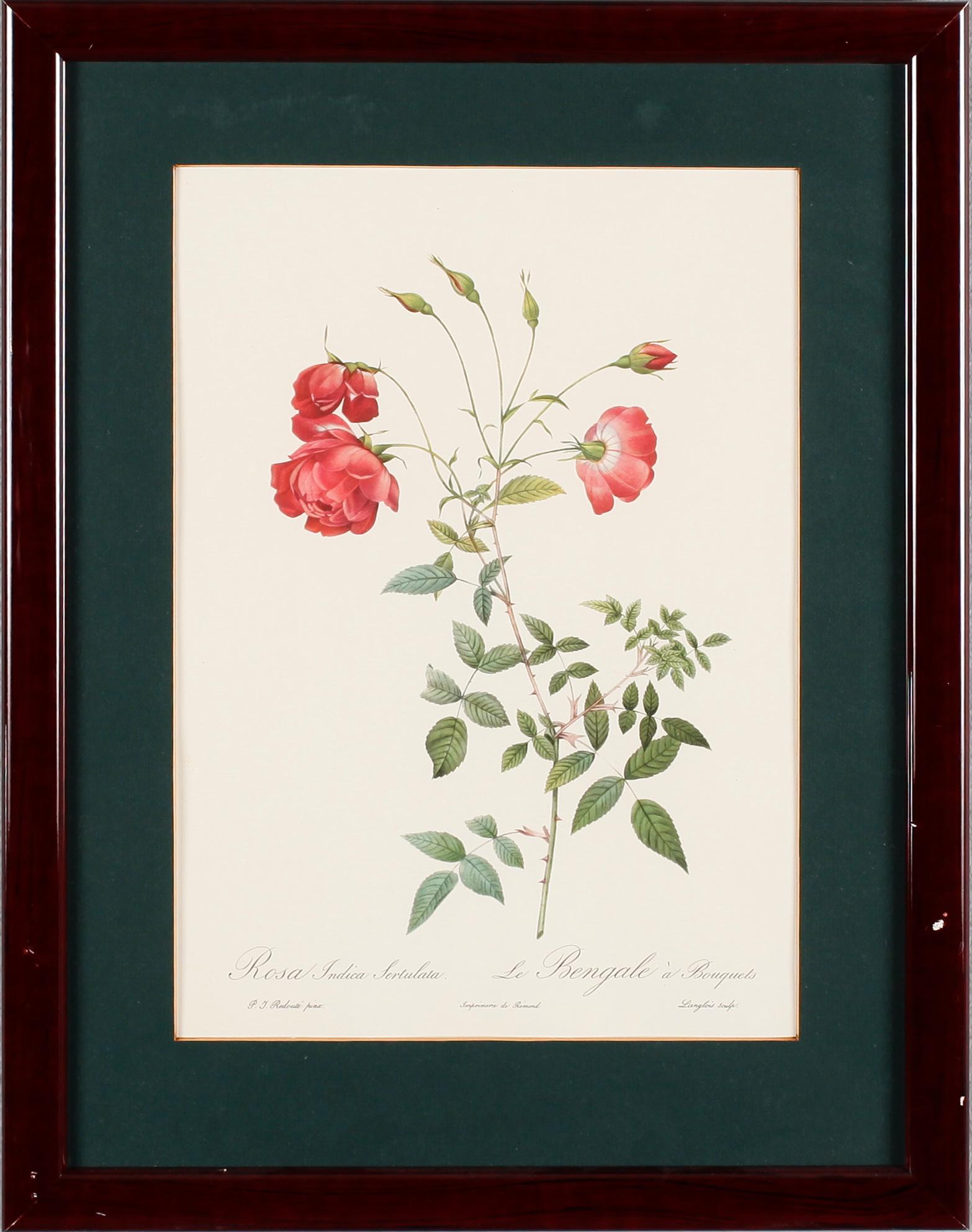 TAVLOR, 5 st, efter Redouté, tryck, 1900-talets andra hälft.