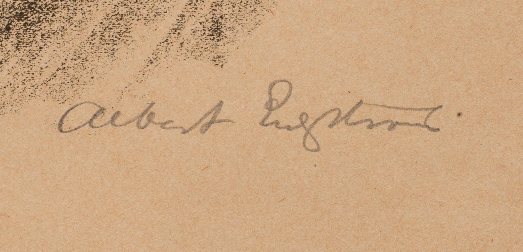 ALBERT ENGSTRÖM, 9 litografier, signerade ur mappen "Rospiggar".