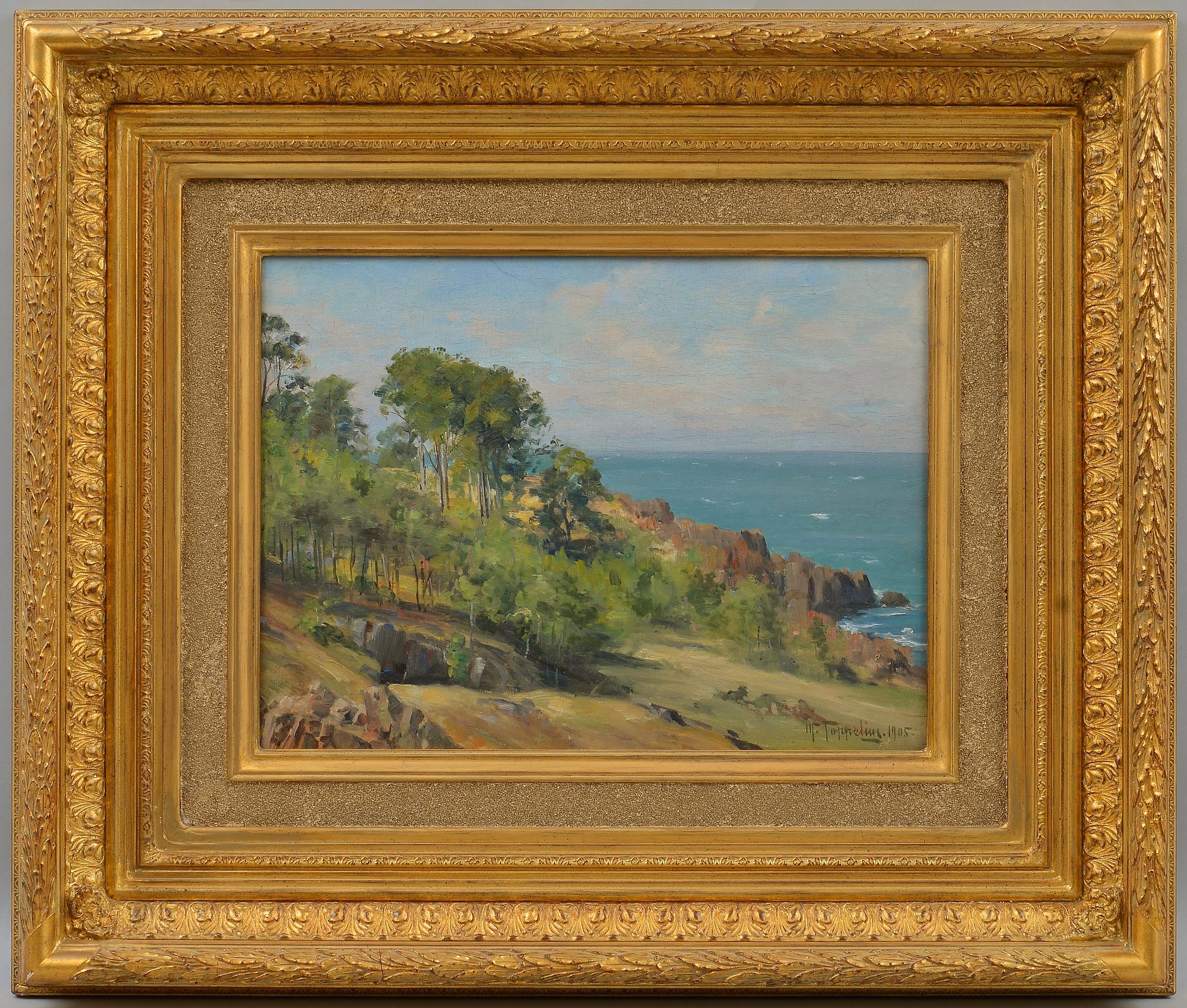Woldemar Toppelius, VY ÖVER HAVET.