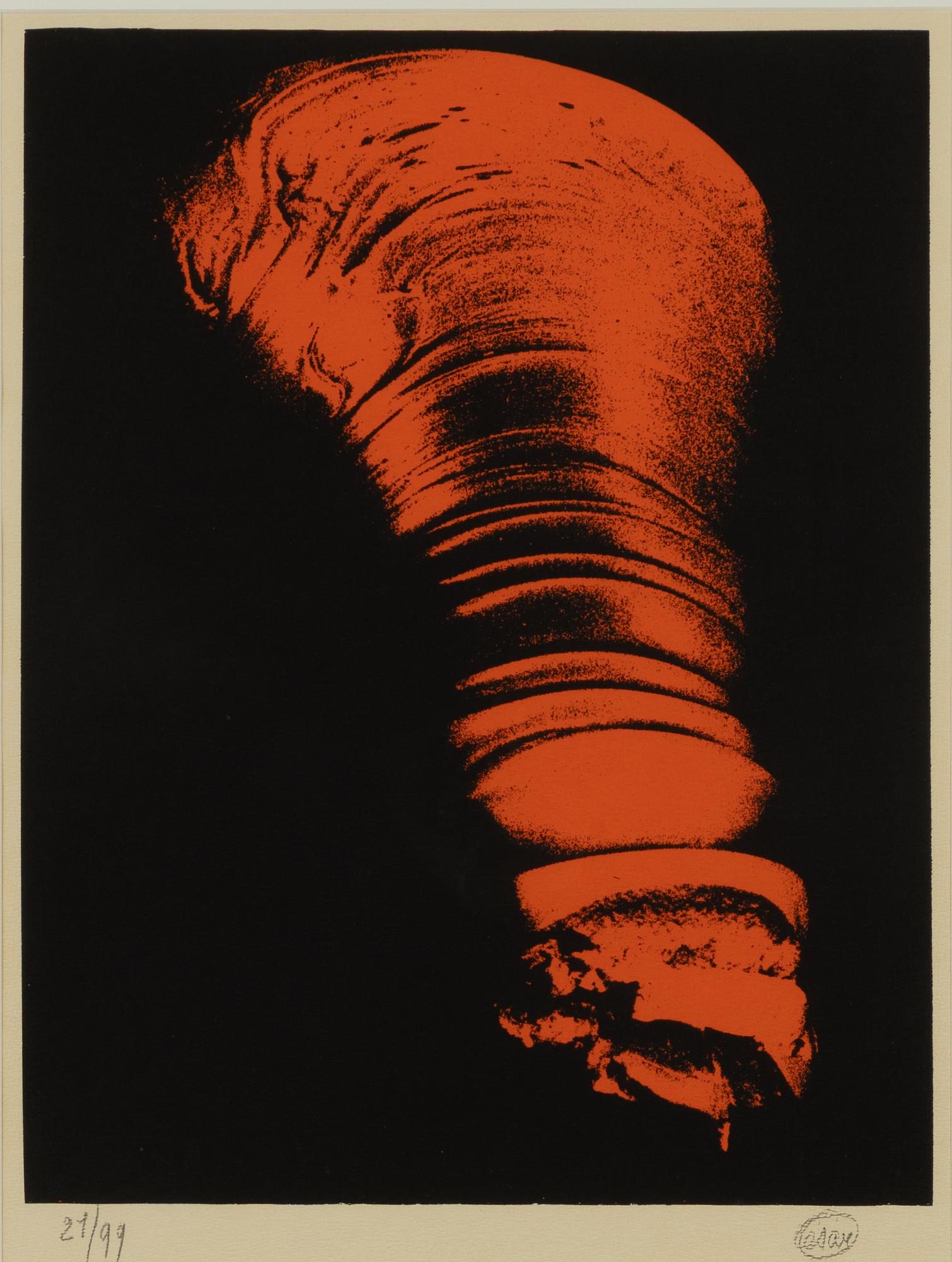 César Baldaccini, Composition.