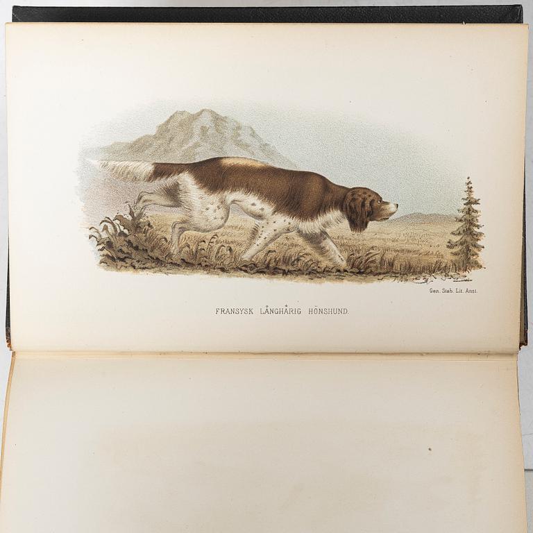 Collection of older books on hunting.