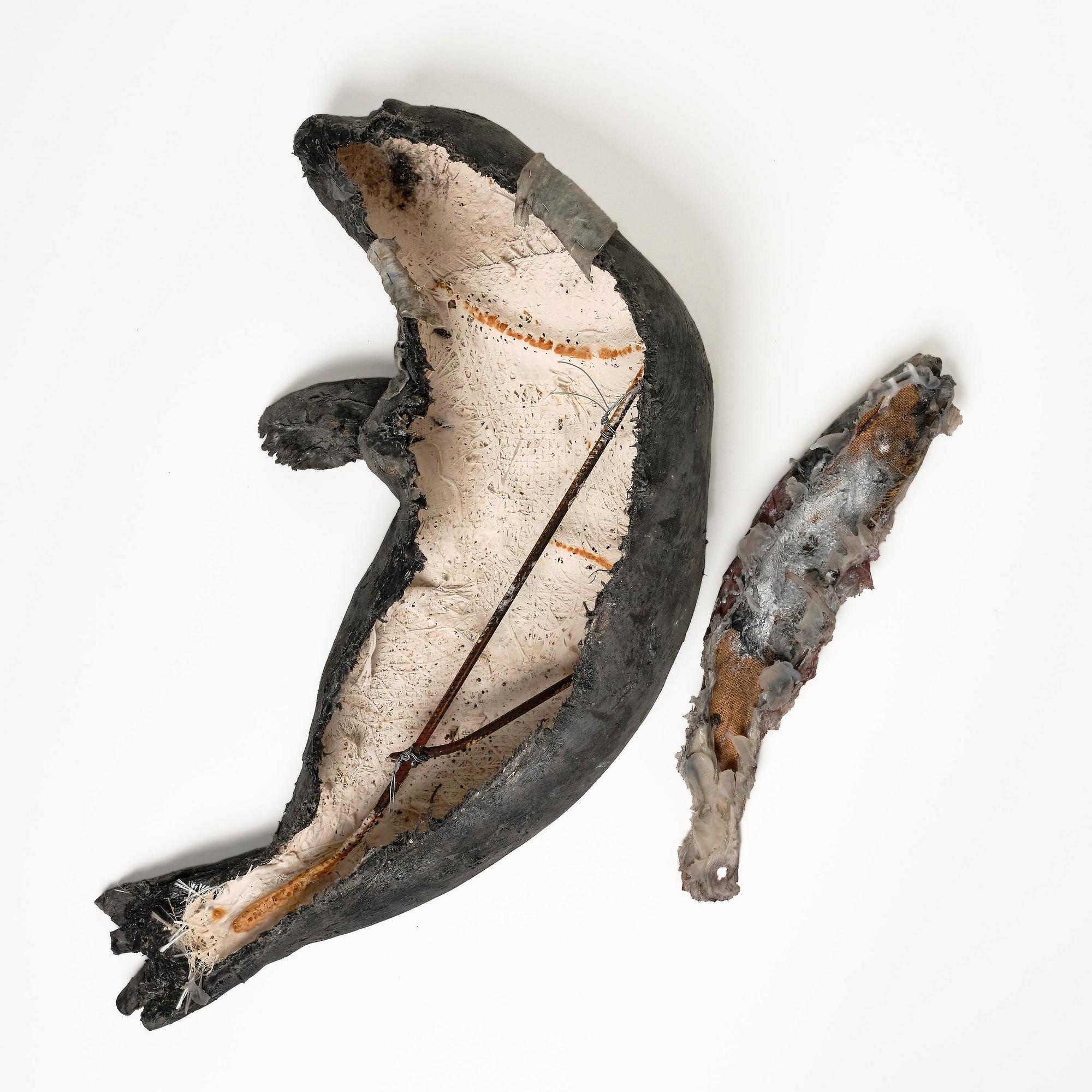 Roland Persson, "Wounded seal".