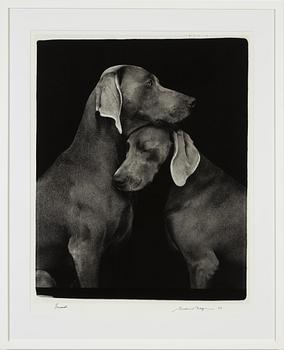 William Wegman, archival pigment print, 2009, signerat. Numrerat 260/1500 a tergo.