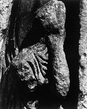 321. Aaron Siskind, "ROME: ARCH OF CONSTANTINE 4", 1967.