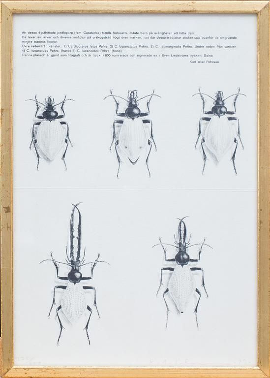 KARL AXEL PEHRSON, 8 st, litografier, signerade, daterade och numrerade.