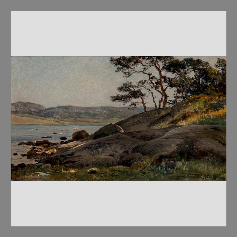 Berndt Lindholm, BERNDT LINDHOLM, CLIFFS BY THE SHORE.