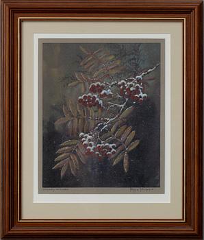 KIMMO PÄLIKKÖ, färgat hors commerce -avdrag, sign. och dat. a tergo 2001.