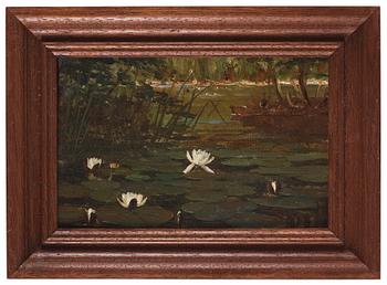 Wilhelm Dahlbom, Water lilies.