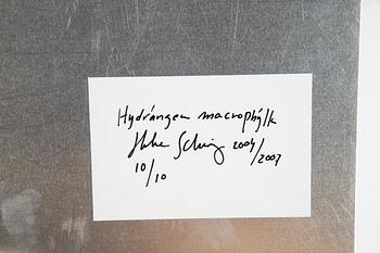 Helene Schmitz, "System och passion2, 4 c-print mounted on aluminum, 2004/2007, signed 10/10.