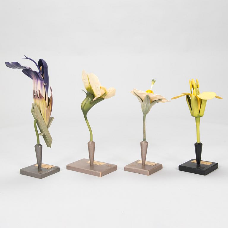 Robert Brendel & Carl Leopold Lohmeyer, A set of 4 educational materials / sculptures, "Botanic Flowers" by R. Bredel. Poland, turn of the 20th century.