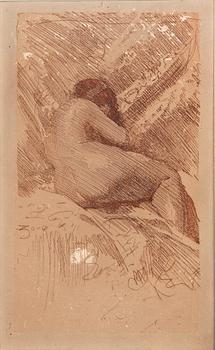 Anders Zorn, Model study.