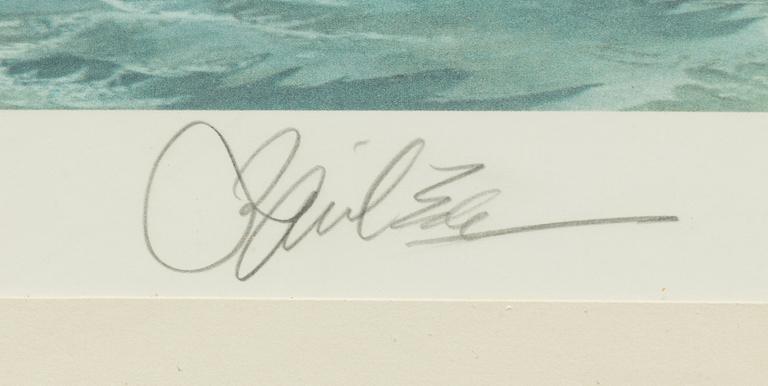 Basil Ede,  "Bald Eagle".