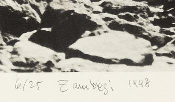 Håkan Ludwigson, "Zambesi" 1998.