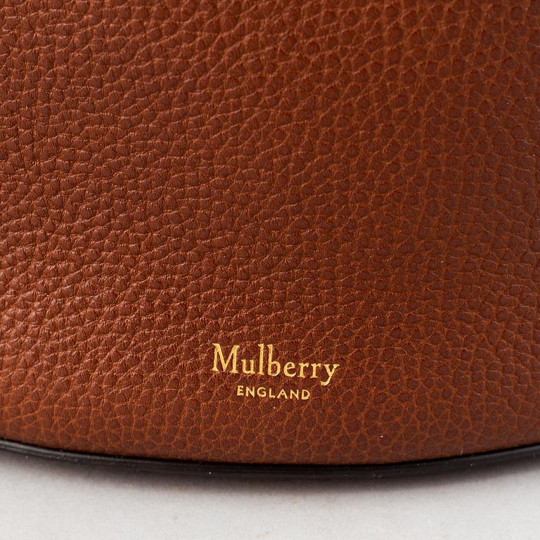 Mulberry, 'Abbey'.