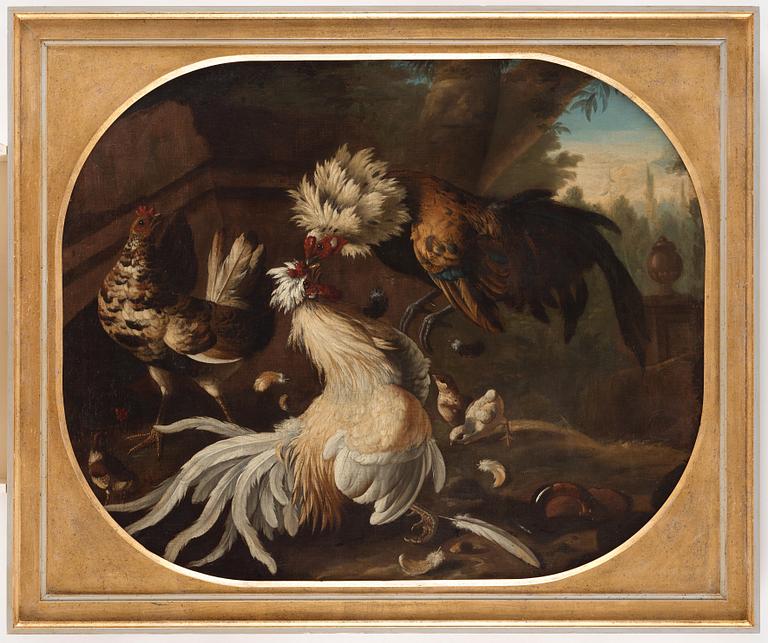 Melchior de Hondecoeter In the manner of the artist, Cock fight.