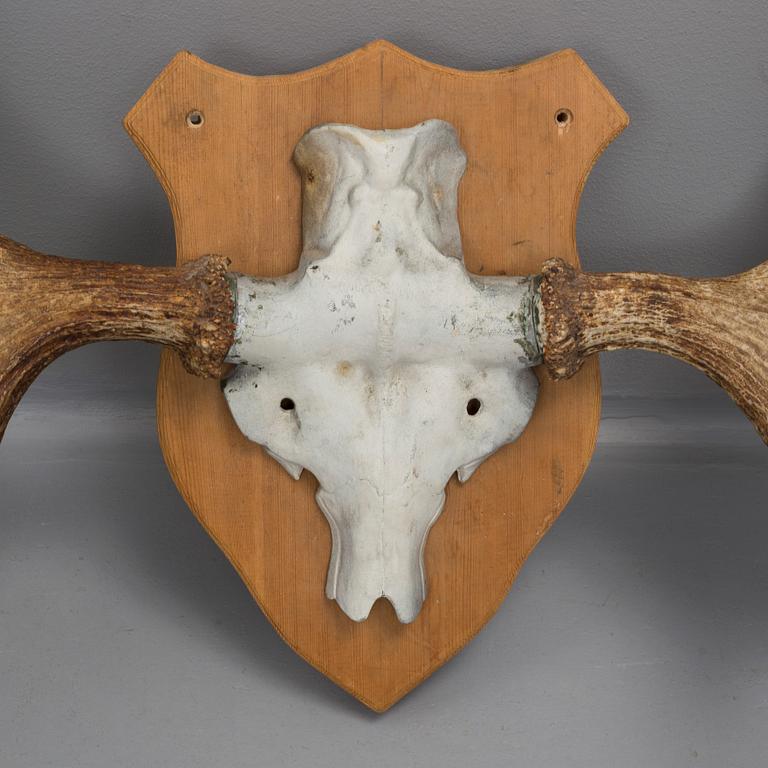 FÄLLHORN, 1900-tal.