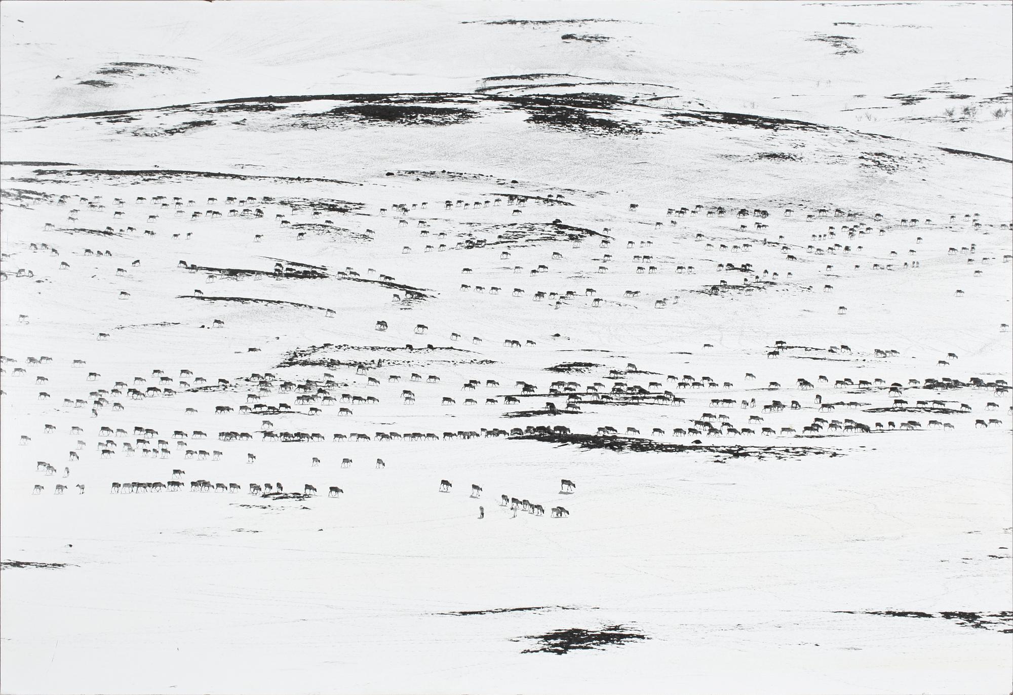 PÅL NILS NILSSON, fotografi.