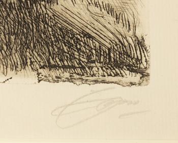 Anders Zorn, "Dalälven".