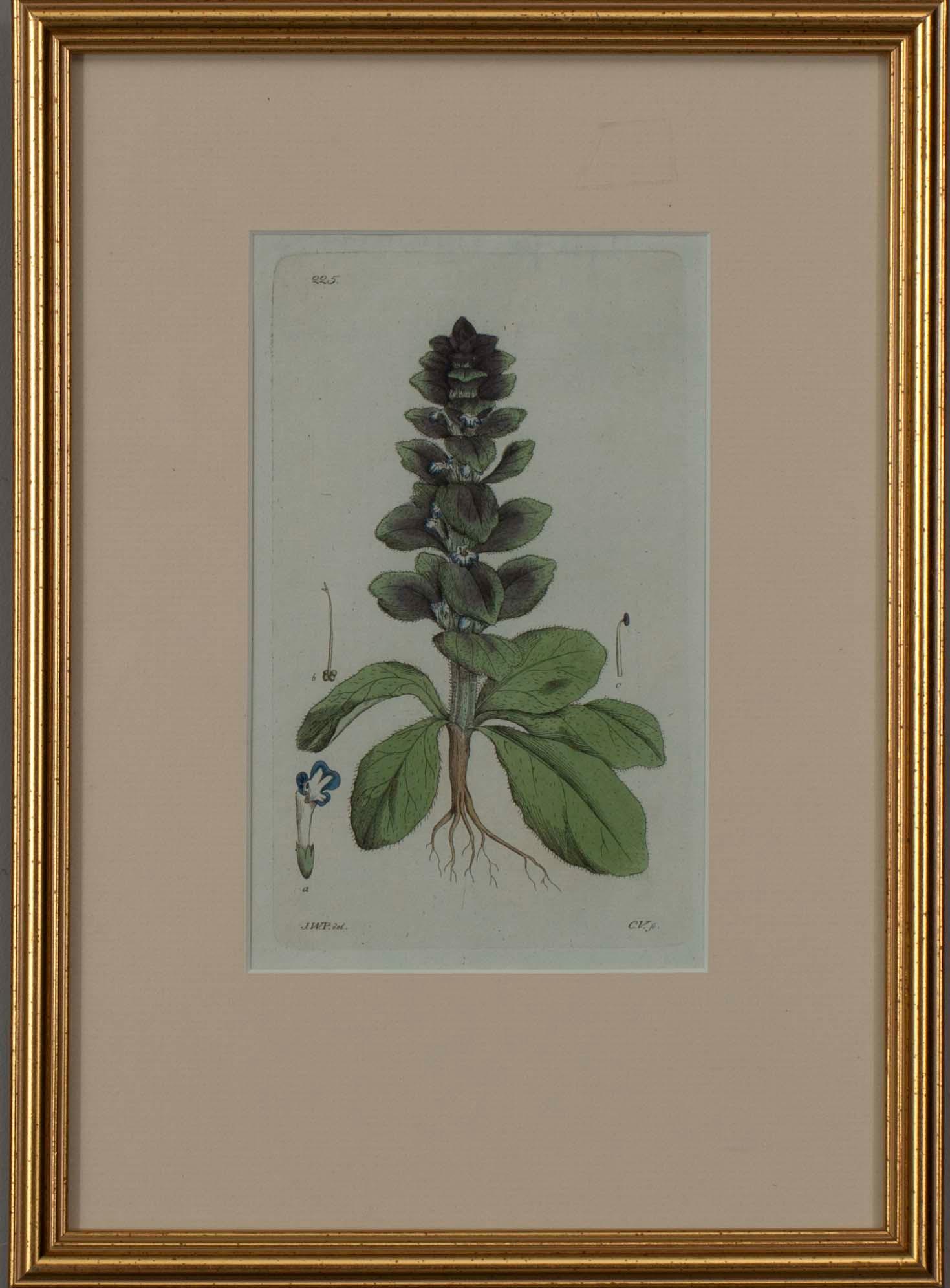 JOHAN WILHELM PALMSTRUCH, 4 st, handkolorerade kopparstick, 1800-talets början.