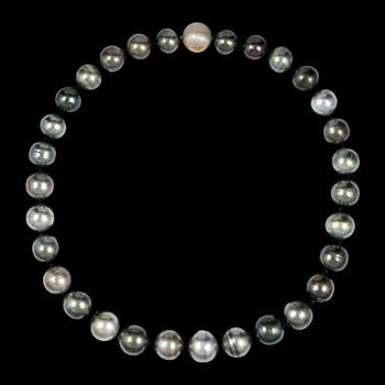 A cultured Tahiti pearl necklace, 15,5-13 mm.