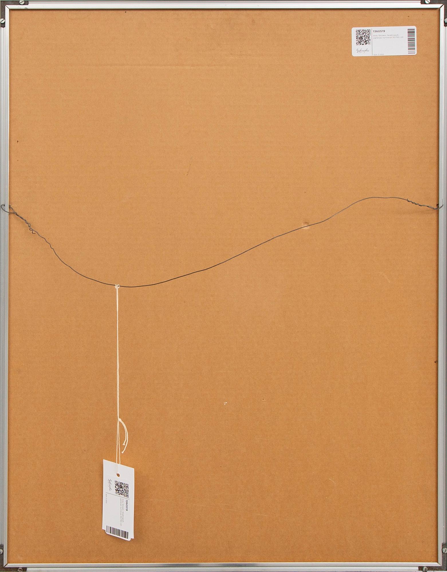 Ardy Strüwer, färglitografi, signerad, numrerad 30/150.