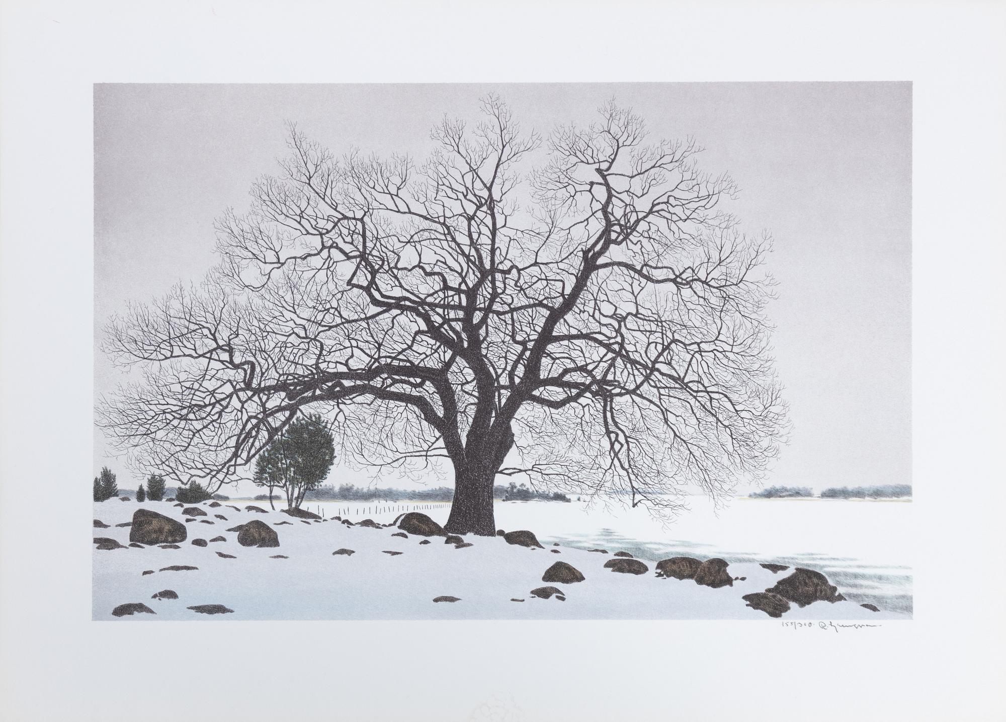 Reinhold Ljunggren, "Vinter", portfolio.