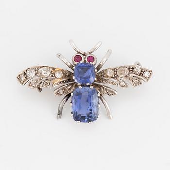A brooch in the shape of a fly.