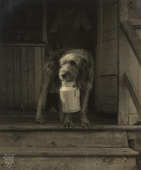 Henry B. Goodwin, "Troll in the Milk Stand, 1917".