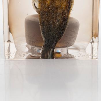 Oiva Toikka, årskub 1977, signerad Oiva Toikka, Nuutajärvi 1977, numrerad 32/2000.