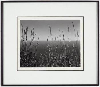 EDWARD WESTON, gelatinsilverfotografi stämplad och signerad av Cole Weston och numrerad 33/50 a tergo montering.