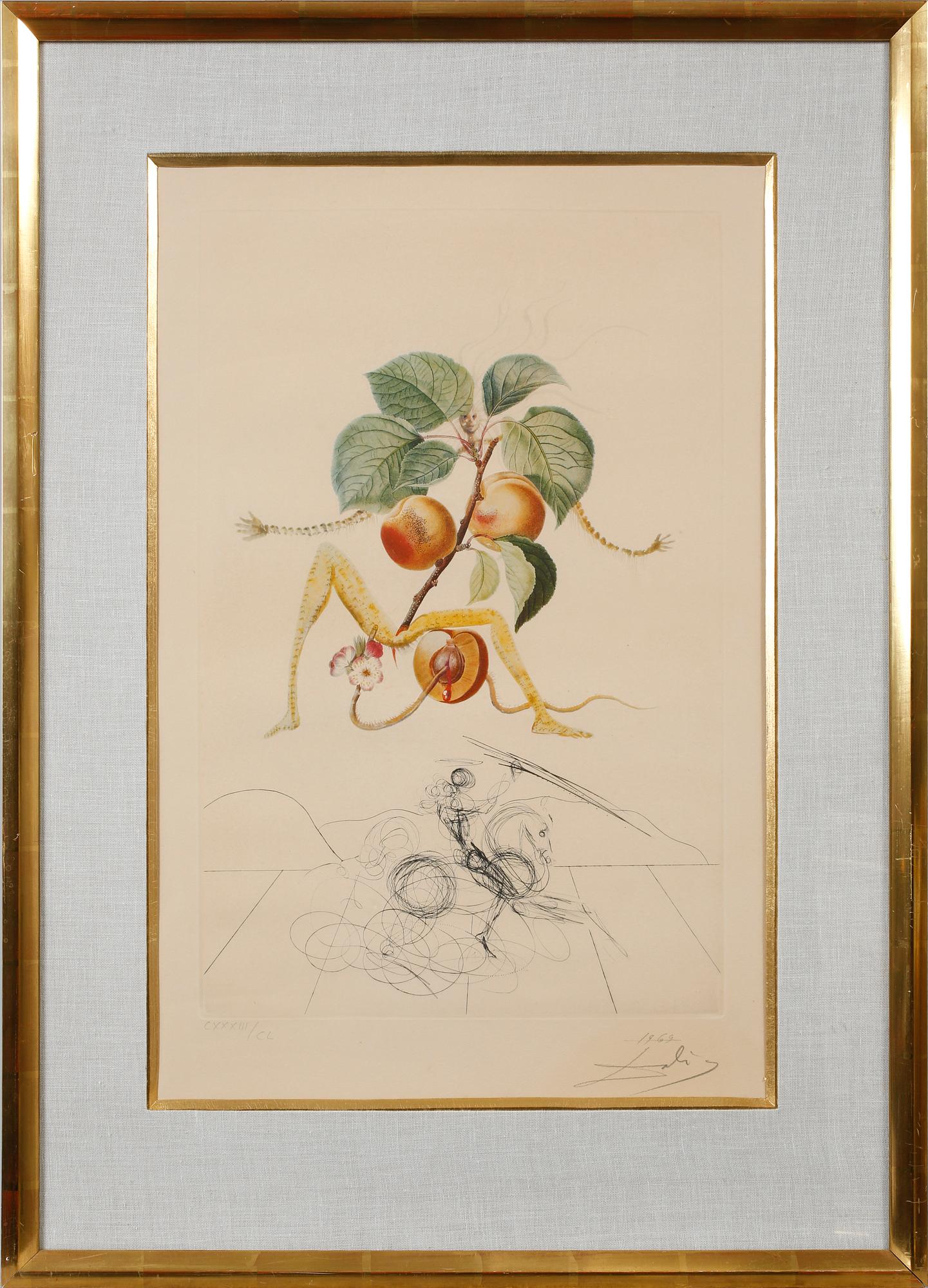 SALVADOR DALI, litografi med etsning, signerad och numrerad CXXXIII/CL.