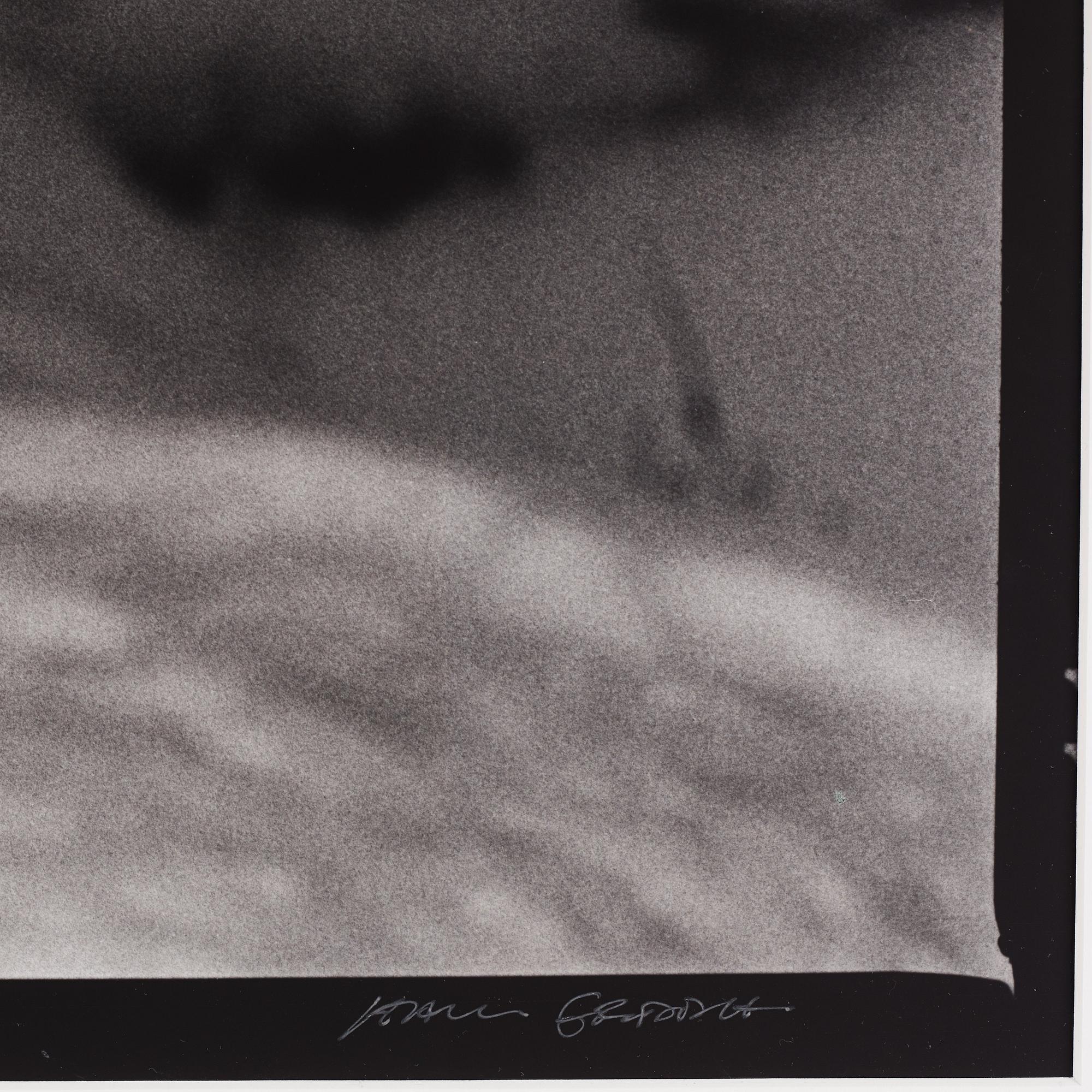 Hans Gedda, "Wolves", 2002.