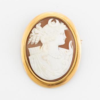 Gold and carved sea shell cameo.