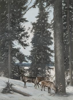 Teppo Terä, oil on canvas, signed and dated -77.