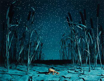 164. Helena Blomqvist, "Last Night for the Last Golden Frog", 2008.