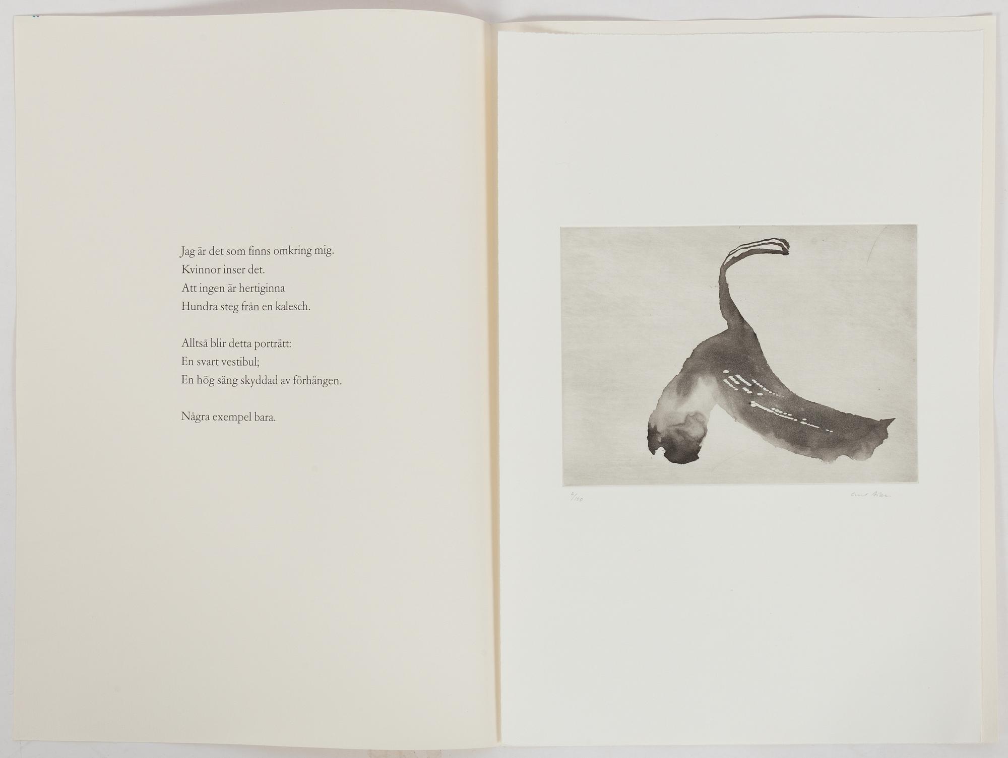 Curt Asker/Wallace Stevens "Elva dikter".