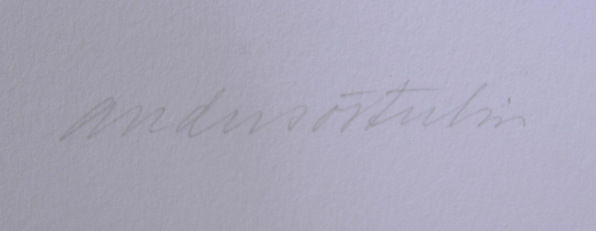 ANDERS ÖSTERLIN, sign samt CARL FREDRIK REUTERSWÄRD, osign, färglitografier.