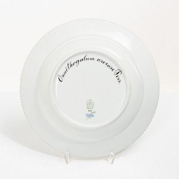 Royal Copenhagen, seven plates, 'Flora Danica', Denmark.