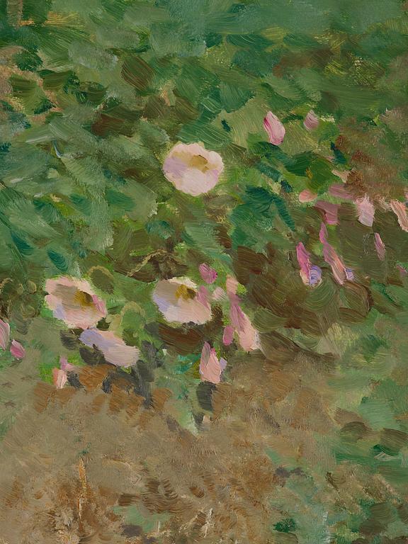 Bruno Liljefors, ("Åkervinda") "Field bindweed".