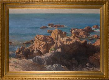 ELIN DANIELSON-GAMBOGI, KLIPPOR I SOLLJUS.