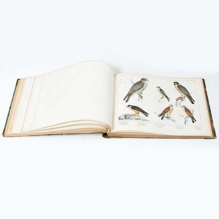 Carl J. Sundevall & Peter Åkerlund, three books, 'Svenska Foglarna'.