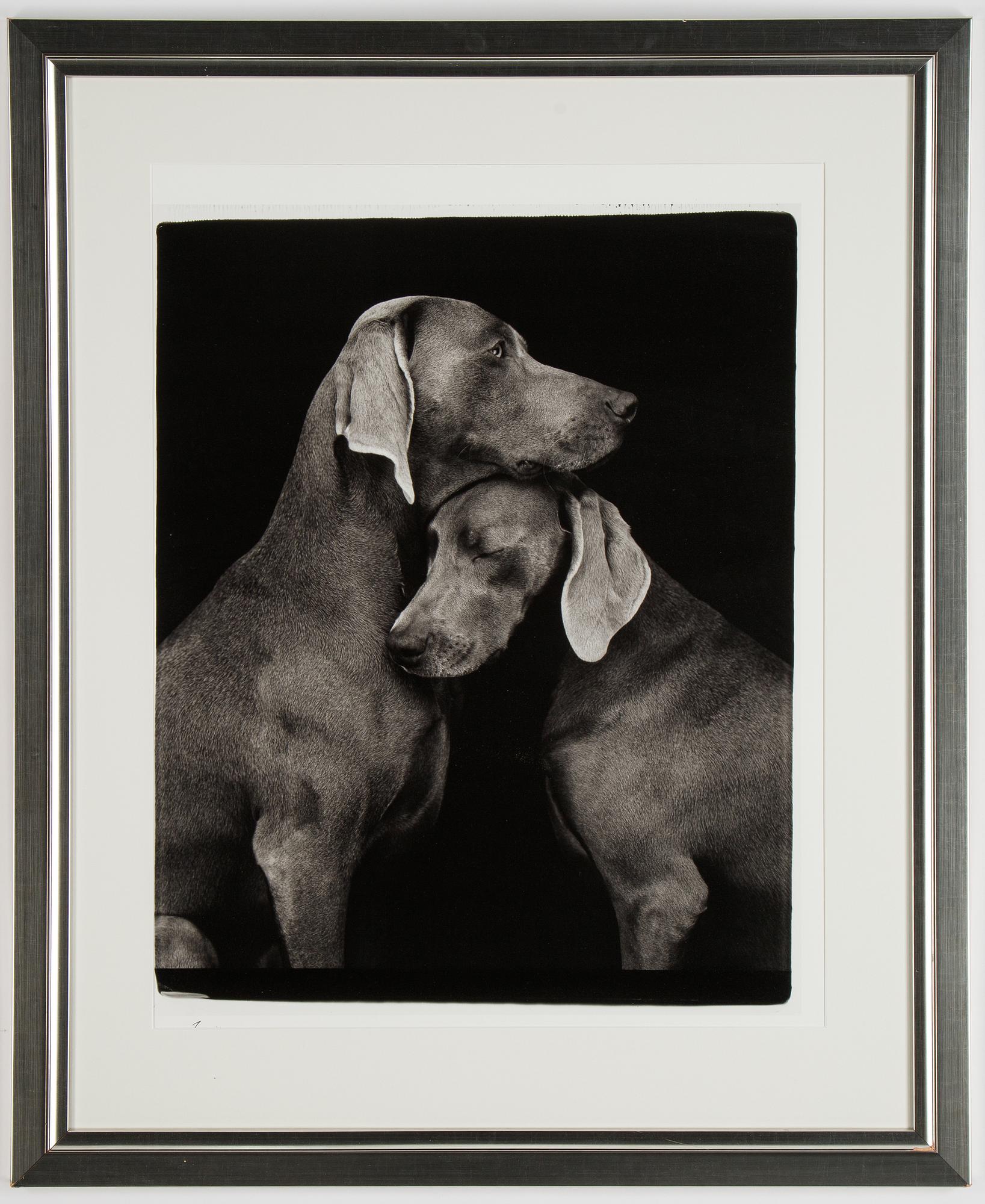 William Wegman, photo, 2009, signed 929/1500.