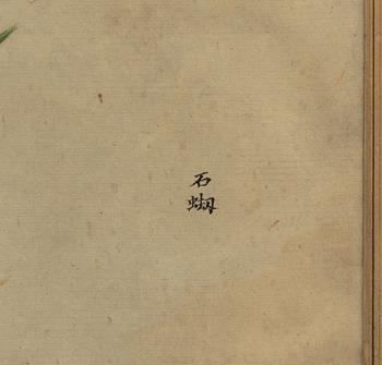 Unknown artist, watercolour, China, 20th century.