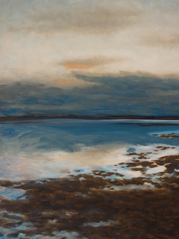 Bruno Liljefors, Twilight landscape with stretching swans.