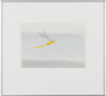 GUNNAR POHJOLA, "AUTUMN OF THE GREEN LACEWING".