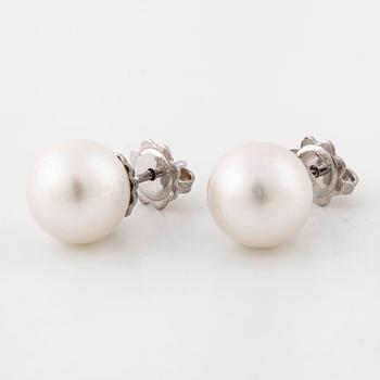 A pair of cultured pearl earrings.