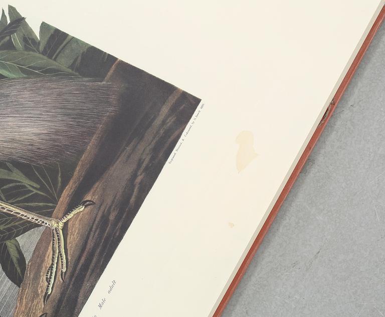 The book "The Birds of America", volume II, by John James Audubon, numbered 178/500, 1973.