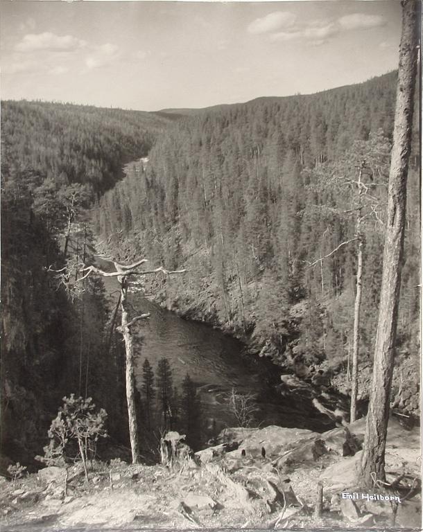 EMIL HEILBORN, fotografi, sign.