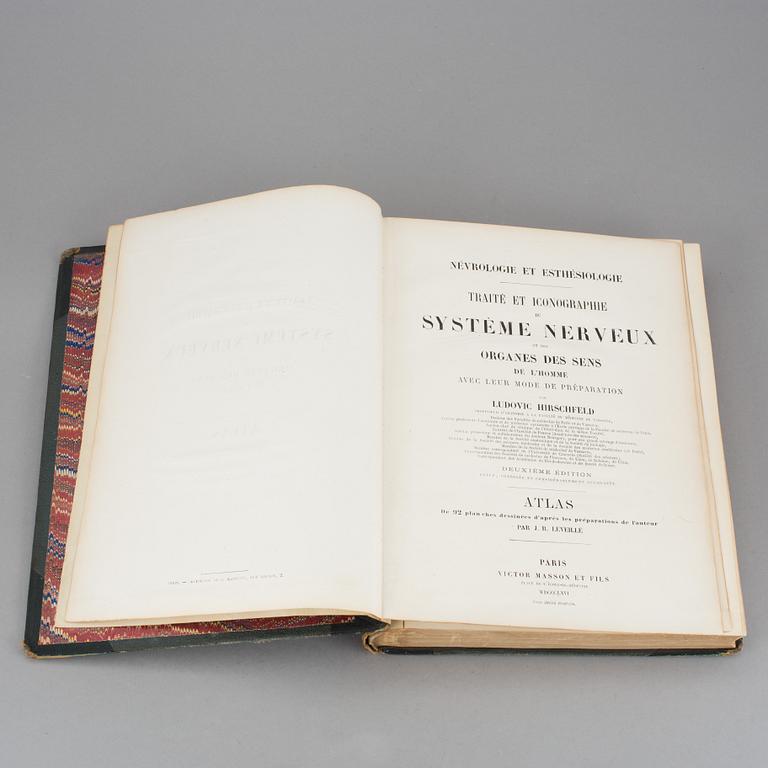 ATLAS, "Systeme Nerveux", Ludovic Hirschfeld, Victor Masson et Fils,  Paris, 1866.