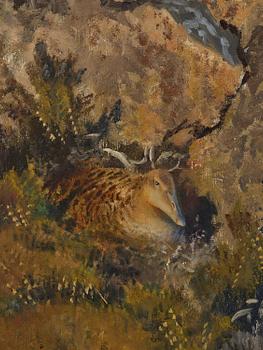 Bruno Liljefors, Brooding eider.